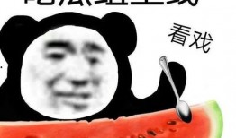 吃瓜态度,吃瓜群众视角下的娱乐圈风云录