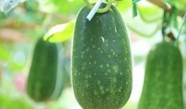 51吃瓜吃最热的瓜,揭秘娱乐圈最热瓜的幕后真相