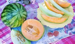 预示着吃瓜,揭秘吃瓜背后的文化现象