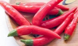 晋江作者吃瓜辣椒,揭秘晋江文坛幕后风云