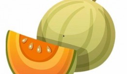 茶水备好了吃瓜,悠闲时光