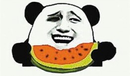 吃瓜群众应该吃什么瓜,吃瓜群众必尝的清凉瓜果大盘点