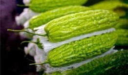 孕妇可以吃佛山瓜,佛山瓜，孕妇的天然营养佳品