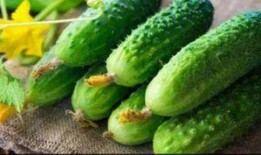 弯弯不弯吃瓜,揭秘网络热词背后的文化现象