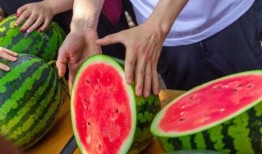 大学里吃瓜号,大学里的那些“吃瓜”趣事