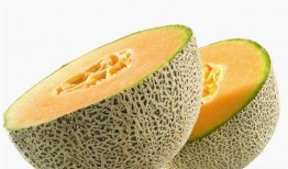 打了狂犬吃哈密瓜,一场意外的味蕾冒险