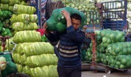 带你吃瓜食物家具,家具中的美食世界