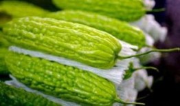 孕妇可以吃葵瓜,葵瓜助力母婴健康