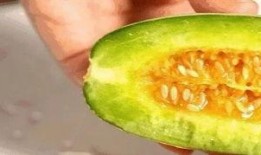 婴儿可以吃蜜瓜吗,营养与安全指南
