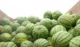 开封尉氏北街吃瓜,夏日吃瓜盛地，品味古城风情