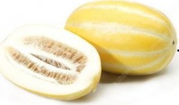 吃麒麟瓜舌头麻,麒麟瓜引发的麻舌之谜