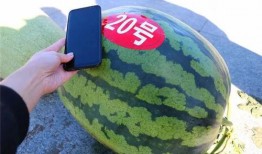 带你吃大瓜联名,带你尝鲜“带你吃大瓜”联名美食盛宴