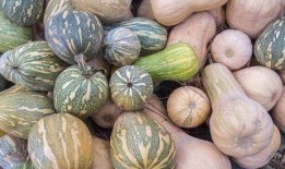 正常吃瓜一天吃几块,揭秘一天吃几块瓜的养生之道