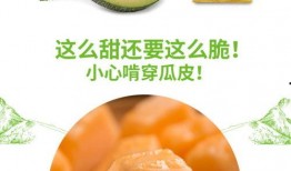 胖虎吃蜜瓜,胖虎的甜蜜蜜瓜冒险记