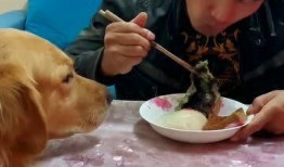 和阿毛吃瓜,揭秘娱乐圈那些不为人知的幕后故事