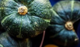 南瓜吃瓜不吃瓜下一句,揭秘南瓜的独特饮食习惯