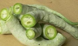 长蛇瓜如何吃
