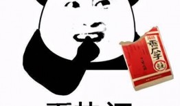 吃瓜的头像熊猫头,趣味横生话时事