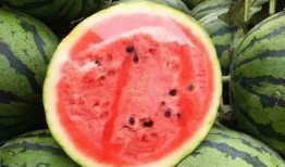 瓜保熟吃,美味尽享——瓜保熟吃，尽享田园时光