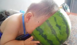 西瓜吃瓜心的故事,揭示古老智慧中的生活哲理