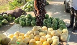 海外热门吃瓜,揭秘海外那些令人捧腹的“吃瓜”事件