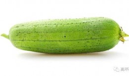 spsa-58 吃瓜,揭秘吃瓜群众的智慧与力量