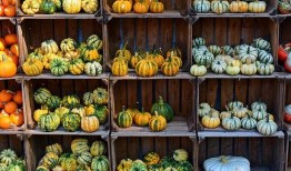 啥吃瓜,网络热词背后的趣味与思考