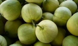 缅甸北部真实吃瓜,一场真实吃瓜盛宴背后的故事