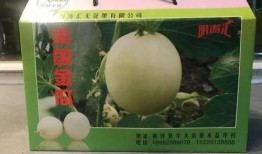 金瓜吃瓜视,揭秘网络红人的崛起之路