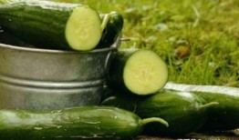 摔伤吃黃瓜好吗,摔伤后食用黄瓜的利弊分析