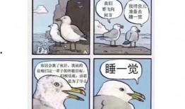 我是一只找不到瓜吃的猹,一只猹的奇幻冒险