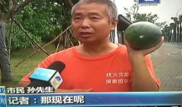 山东吃瓜热门事件,一场吃瓜群众的狂欢与反思
