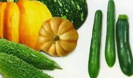 挖煤吃瓜,揭秘煤矿工人的日常生活与精神世界