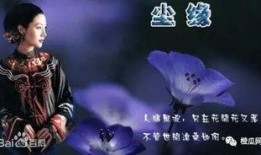 吃瓜仙侠小说,吃瓜群众眼中的修真秘闻