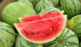 霓漫天的吃瓜,娱乐圈幕后真相曝光