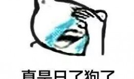 病态鸡吃瓜,病态鸡的奇异瓜果之旅