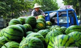 帮人吃瓜,帮人吃瓜，揭秘明星幕后故事