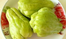 怪丑瓜怎样吃,怪丑瓜的多重美味吃法探索