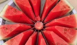 跑步变吃瓜,揭秘健身与休闲的完美融合