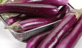 茄瓜孕妇敢吃吗,孕期茄瓜安全食用指南