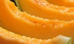 沙漠吃哈密瓜,哈密瓜的传奇之旅