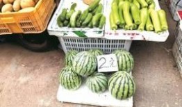 西瓜自由吃瓜视频,畅享夏日清凉时光