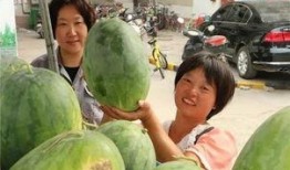 东营小区吃瓜事件,邻里纠纷引发社会关注