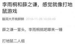 每日吃瓜日记,揭秘娱乐圈幕后故事