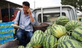 山东劳动职业吃瓜,吃瓜群众视角下的职场百态