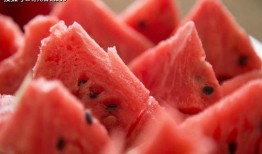 吃瓜年龄,揭秘吃瓜年龄的趣味世界