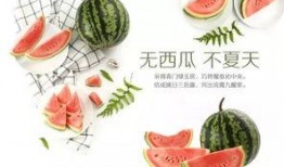 口嗨吃瓜,揭秘网络热议背后的真相与笑料