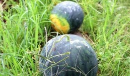 上饶本地吃瓜,一网打尽本地新鲜事