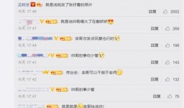 瓜瓜吃瓜教案评价,趣味盎然的教育体验