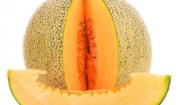 过敏者可以吃哈密瓜吗